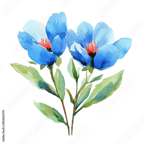 Lechenaultia Flower, serene watercolor vector artwork with smooth washes of color and refined textures, isolated on a white background.