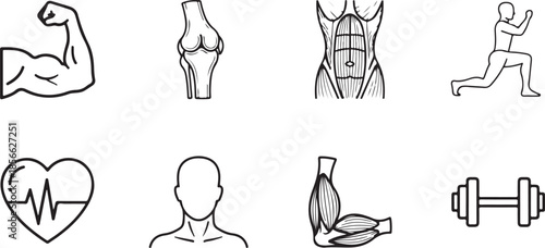 Fitness and anatomy muscles heart dumbbell