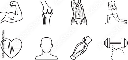 Fitness and anatomy muscles heart dumbbell