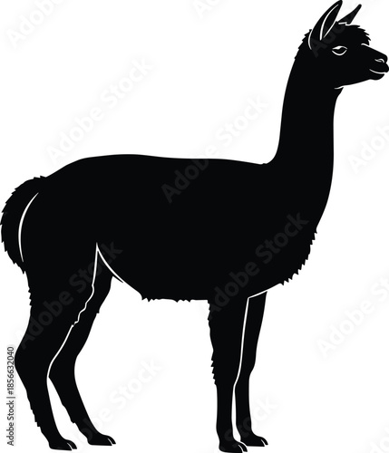 Black alpaca silhouette vector, isolated llama profile standing on white background, South American farm animal for nature and wool design,