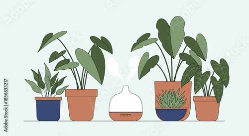 Clean white humidifier releasing mist to hydrate a variety of indoor house plants in different sized clay pots for plant care.
