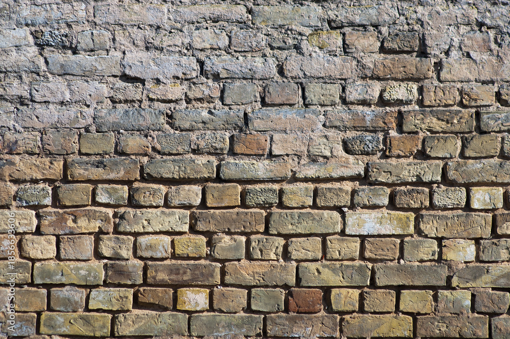 Fototapeta premium brown background, in the photo an old brick wall