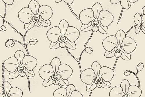 Orchid flowers outlined on beige background in a simple design pattern for decoration and art