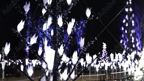 冬の夜のきらめくイルミネーション