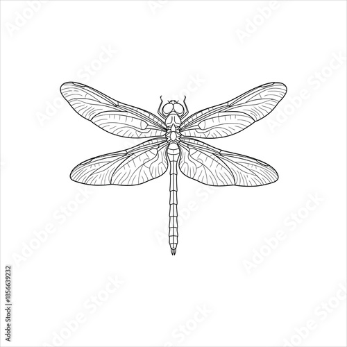 Vector file illustration on white background