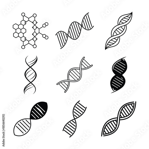 DNA Helix Vector Illustrations Collection on White Background
