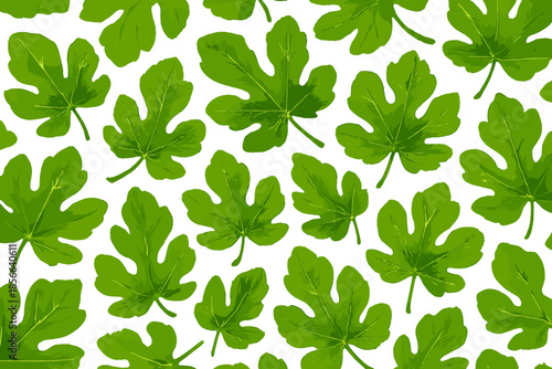 Leaves of fig tree arranged in a pattern on white background showing different shapes and sizes of leaves in natural setting