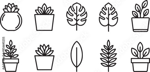 Minimalist plant icons for design and decoration