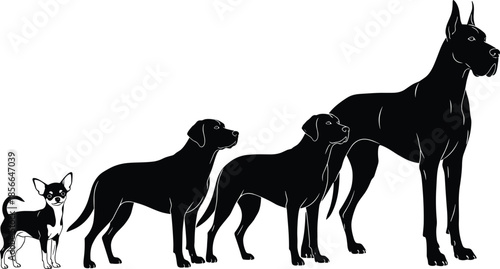 Dog size comparison silhouettes, small to large breed evolution lineup, canine growth scale concept, black dog illustration collection