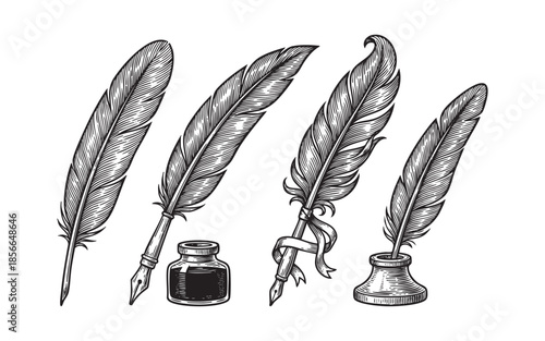 feather pens, inkwells, writing instruments calligraphy tools set engraving vector illustrations