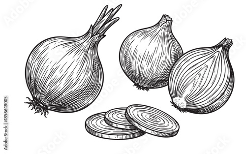 onion whole bulbs, sliced rings, cut vegetables