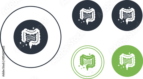 Gut health icon set with stylized intestine graphics and sparkles for wellness, digestion, and medical-themed design use.