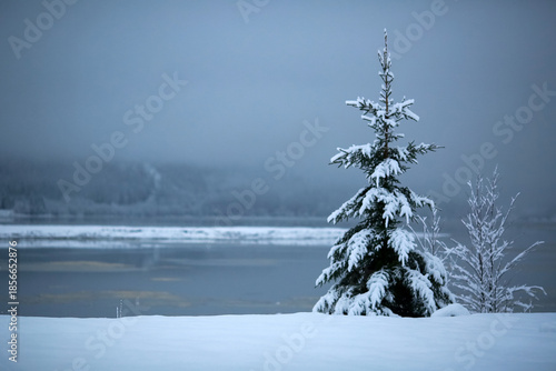 River Aagaardselva, Norway