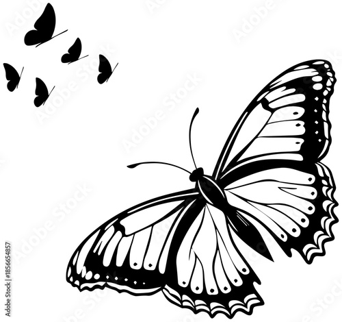 Black and White Butterfly Group Illustration