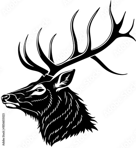 Black and White Stag Head Illustration