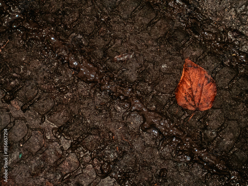 Single brown autumn leaf lying in a deep wet muddy tire track 