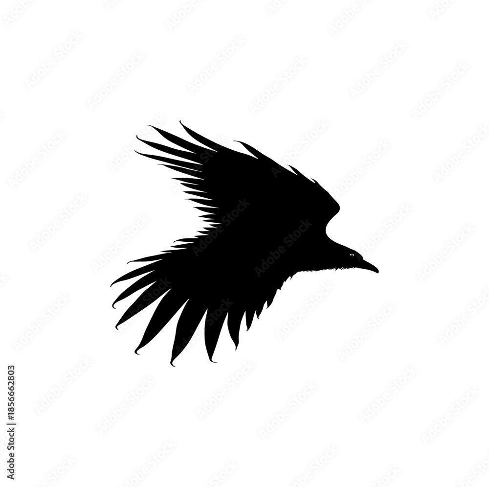 Obraz premium eagle vector illustration