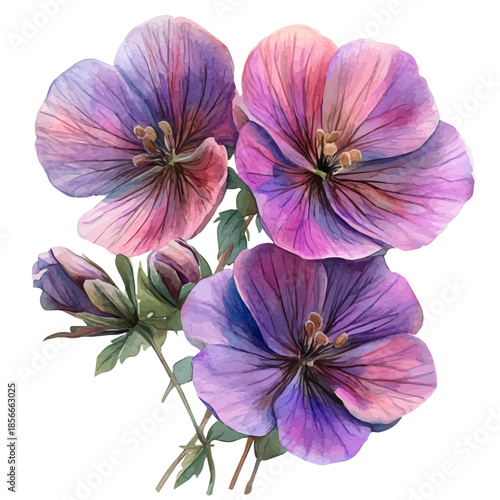 Honesty Flower, whimsical watercolor vector illustration with vibrant highlights and delicate strokes, isolated on a white background.