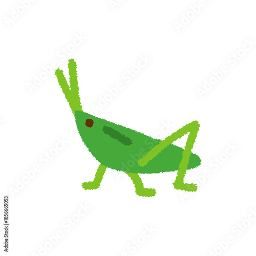 バッタ 虫 観察 手描き パステルかわいい イラスト