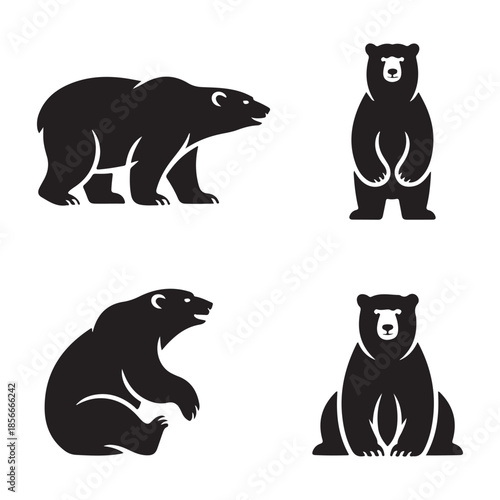 Strong bear walking forward with confident wild posture