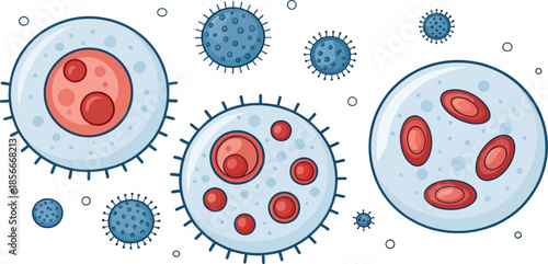 Minimalist B Cell Illustration for Medical Design