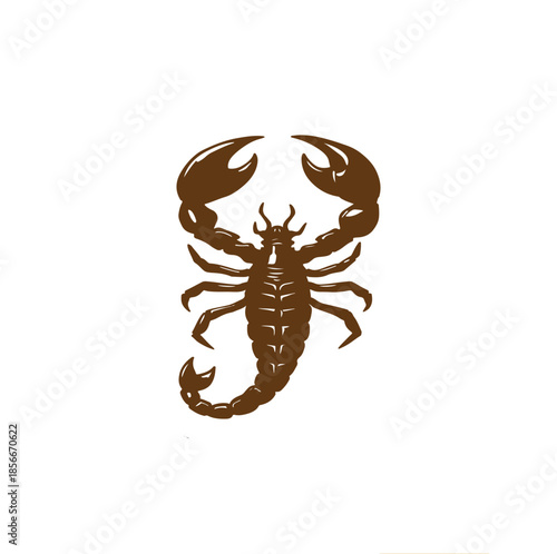 vector illustration of a scorpion