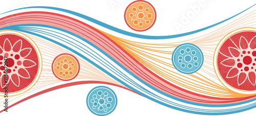 Stylized Abstract Muscle Cells Myocytes Vector Art