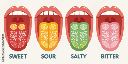 Taste Receptor Cells on Tongue Flat Design Illustration