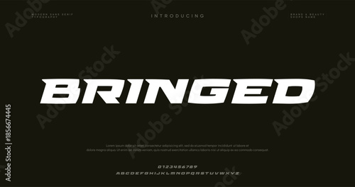 classic letters serif fonts decorative wedding vintage retro logos. vector illustration