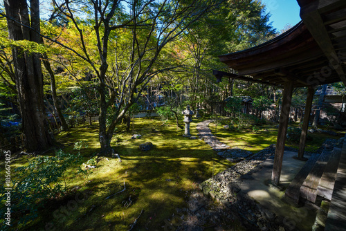 京都栂尾高山寺の境内の紅葉を始めた木々の風景