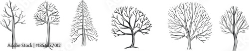 Illustration of various tree silhouettes in black and white