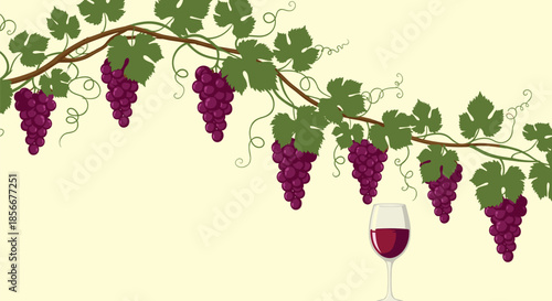 Artistic illustration of a winding grapevine laden with clusters of purple grapes above a single glass of red wine on a cream background.