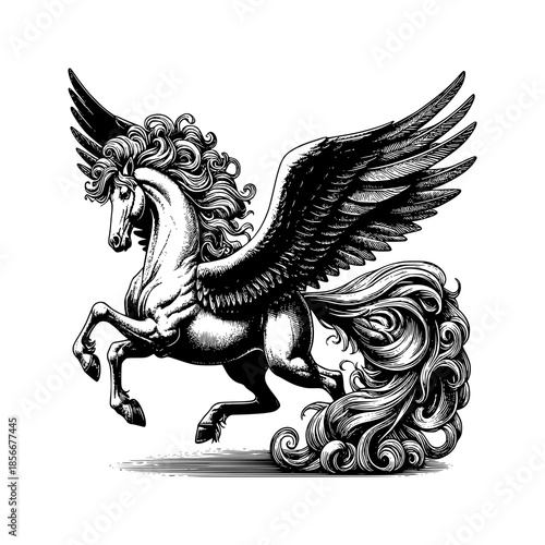 Winged Horse Pegasus Black and White Fantasy Illustration