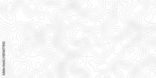 Contour abstract map relief land outline. Topographic map patterns. White wave paper curved reliefs abstract background. Background of the topography map. Abstract pattern with lines.