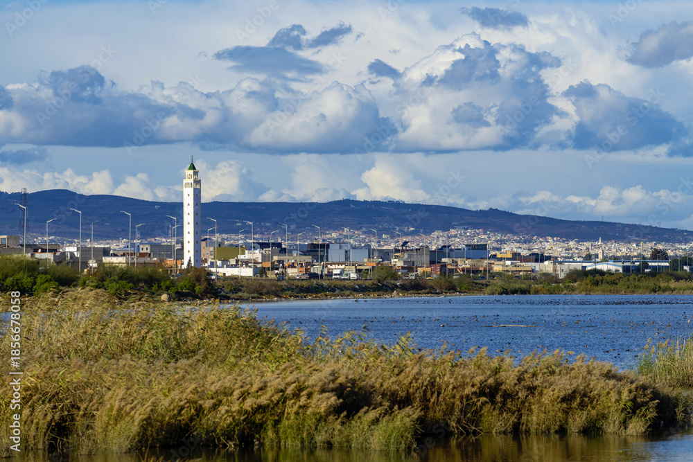 Fototapeta premium Mosquée sur les ives d'une zone humide à Tunis