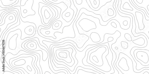 Contour abstract map relief land outline. Topographic map patterns. White wave paper curved reliefs abstract background. Background of the topography map. Abstract pattern with lines.