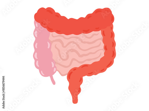 Hand Drawn Colitis Disease in Intestines
