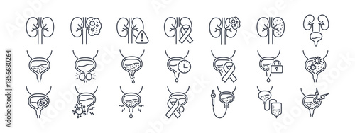 Urology icon set featuring kidney disease, bladder conditions, and prostate health symbols in clean line style for medical websites and healthcare applications. Vector. Editable stroke