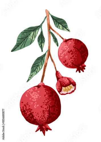 Pomegranate fruit plant with flower and green leaves