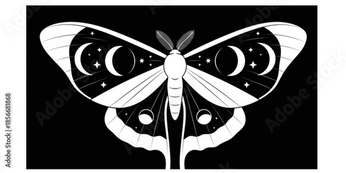 Celestial Luna Moth Moon Phases Magic Silhouette