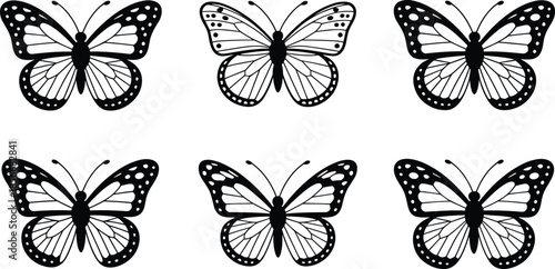 Six Black and White Line Art Butterflies with Detailed Wing Patterns butterfly insect