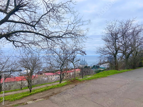 Panorama through the bare branches of park trees of the Black Sea coast under leaden winter clouds on the horizon.