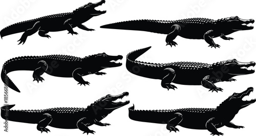 Crocodile silhouette vector collection, reptile poses, black and white contrast, animal shape design, nature theme, walking resting open mouth, minimal style