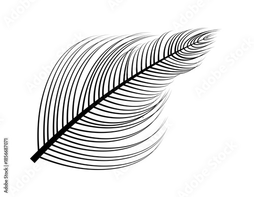 Abstract vector illustration of a single black ink feather with an elegant line art design as a nature element for a light decorative background pattern