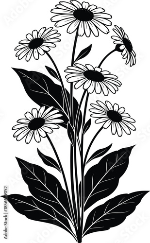 Flowering plant silhouette vector, daisy blossoms, black and white contrast, botanical design, nature theme, leaf detail, floral composition, minimal style