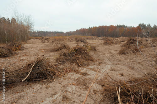 Illegal logging within Kyiv city limits to build commercial properties. 2021, Ukraine