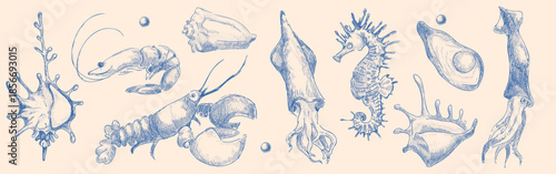 Seashell sketch collection with hand drawn seafood illustrations in blue ink. Vintage engraved sea creatures - lobster and squid, shrimp and seahorse outlines. Marine life doodles with seashells