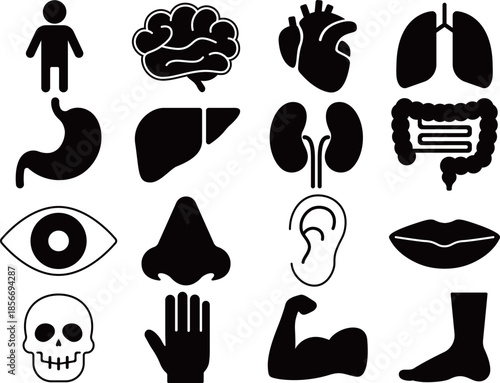 人体と臓器のアイコン16種セット　モノトーン