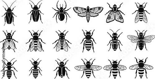 Insect silhouette vector collection, black and white bugs, symmetrical anatomy, entomology design, educational reference, species diversity, wing detail, minimal style