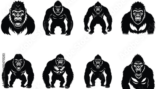 vector bear silhouette